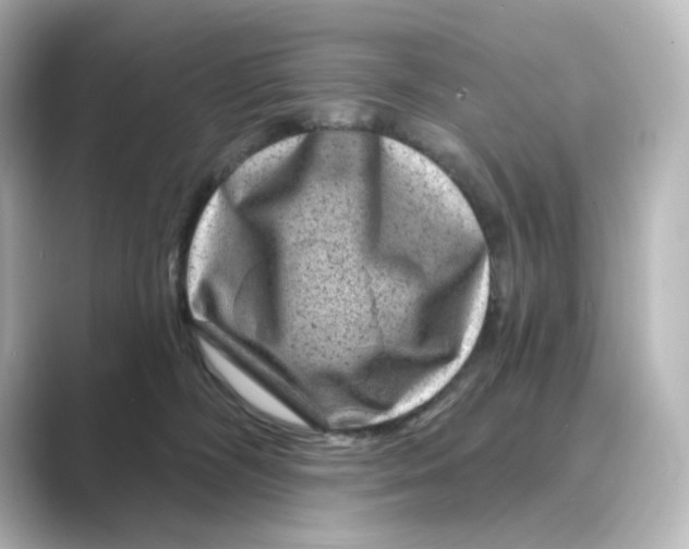 X0000088730326200706212043