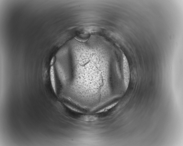 X0000088730327200706212043