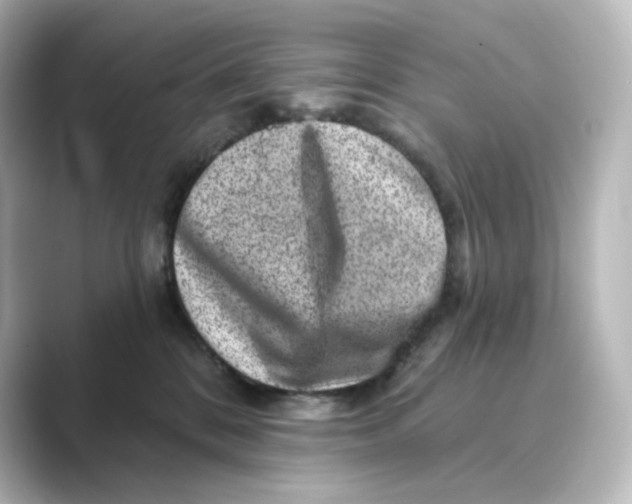 X0000088730328200706212043