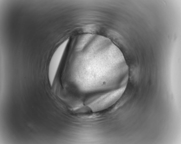 X0000088730329200706212043