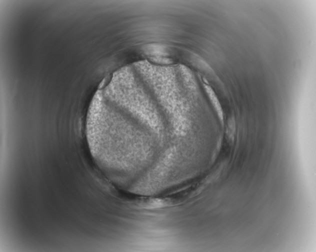 X0000088730330200706212043