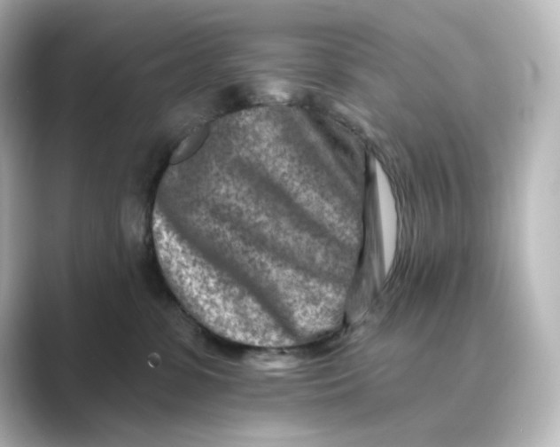 X0000088730331200706212043