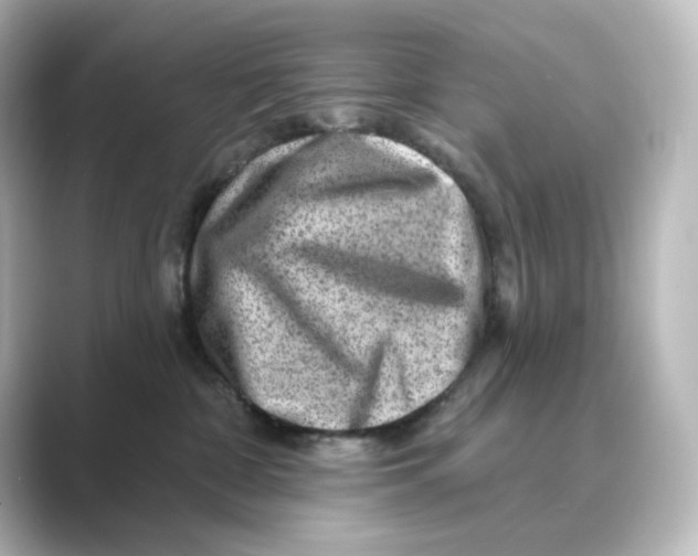 X0000088730332200706212043