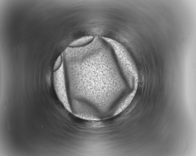 X0000088730334200706212043