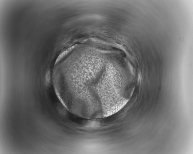 X0000088730335200706212043