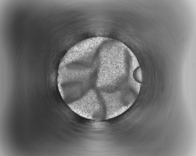 X0000088730336200706212043