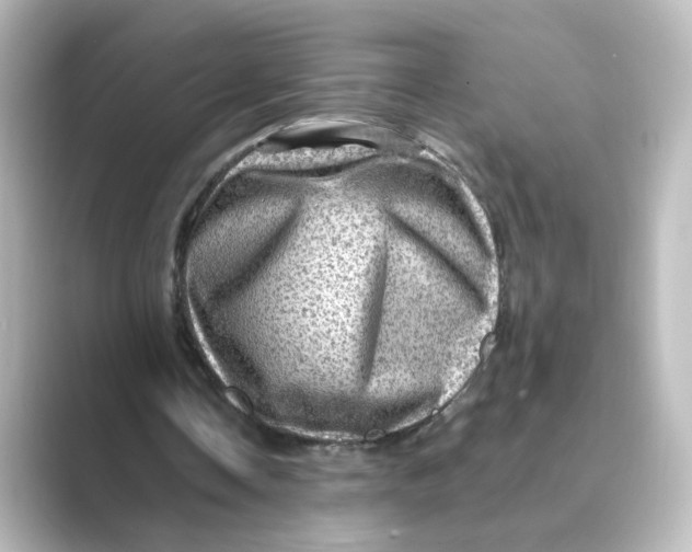 X0000088730338200706212043