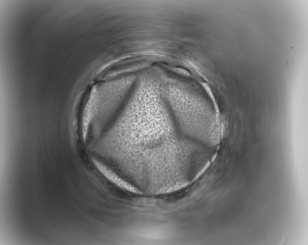 X0000088730339200706212043