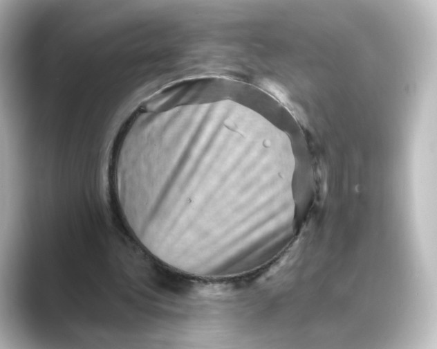 X0000088730340200706212043