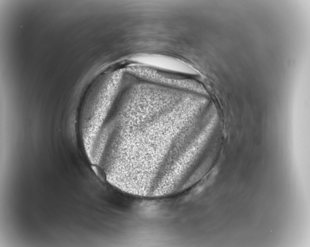 X0000088730341200706212043