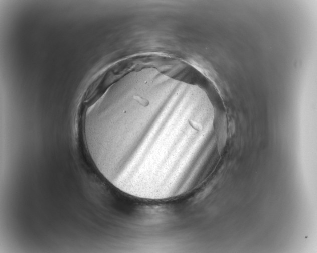 X0000088730344200706212043