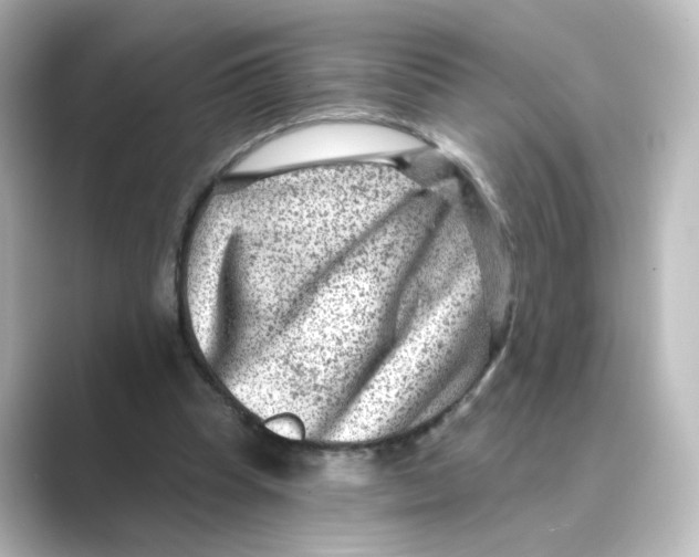 X0000088730345200706212043