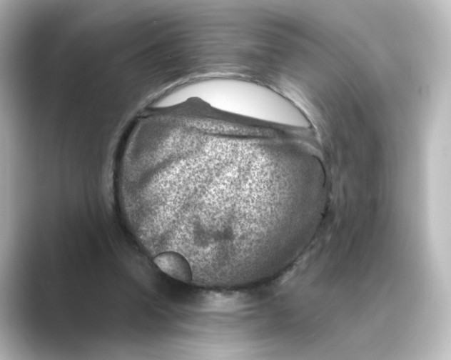 X0000088730346200706212043