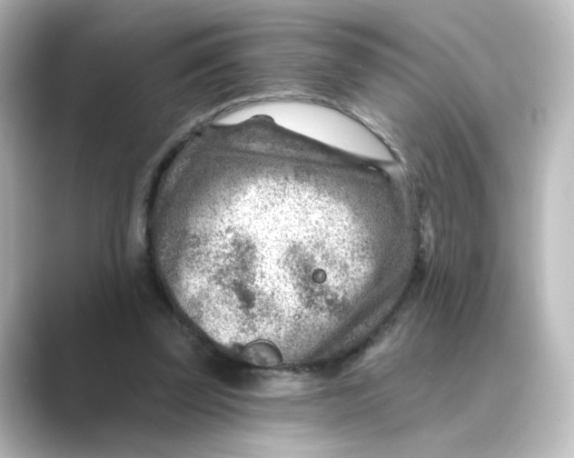 X0000088730347200706212043