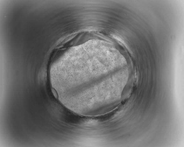 X0000088730348200706212043