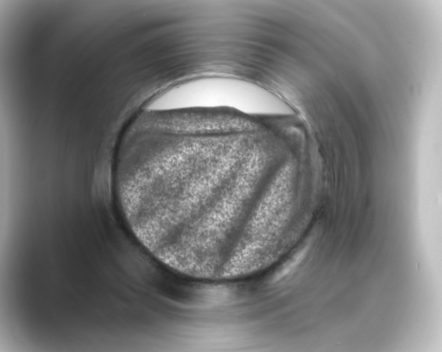 X0000088730349200706212043