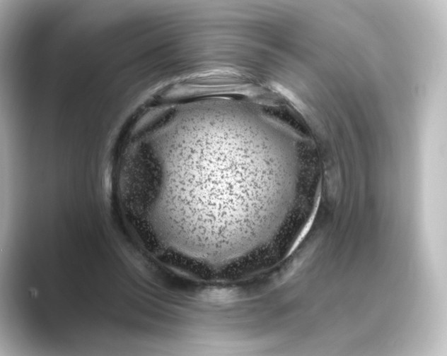 X0000088730350200706212043