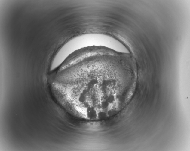 X0000088730353200706212043