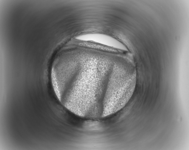 X0000088730354200706212043