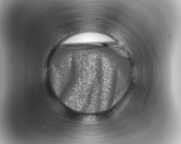 X0000088730355200706212043