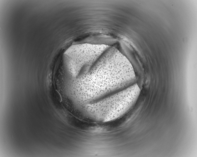 X0000088730356200706212043