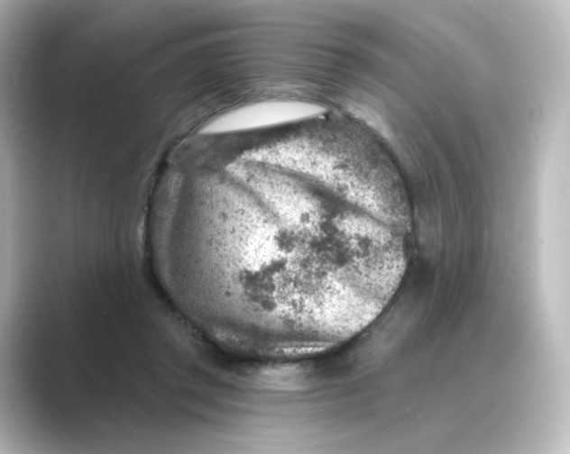 X0000088730357200706212043