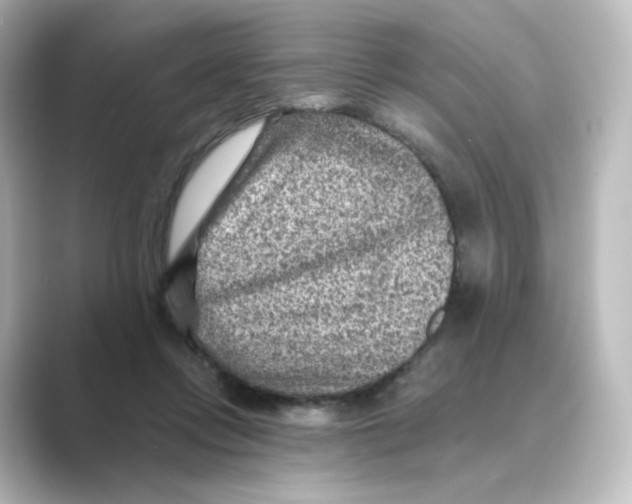 X0000088730358200706212043