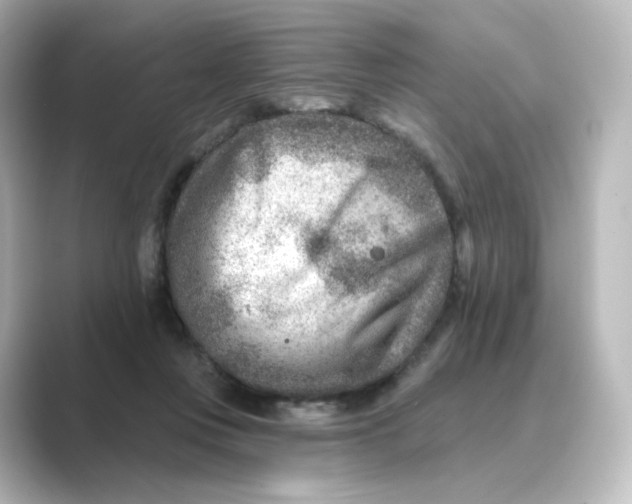 X0000088730359200706212043