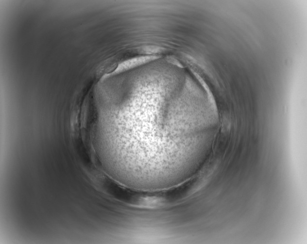 X0000088730360200706212043