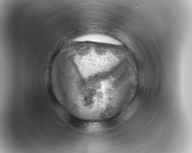 X0000088730361200706212043