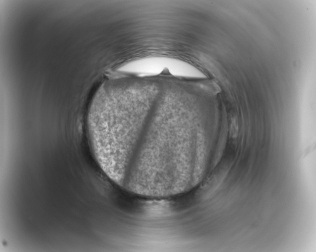 X0000088730363200706212043