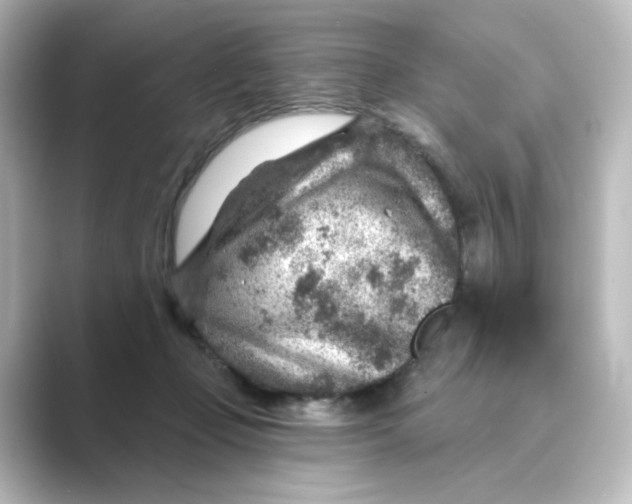 X0000088730365200706212043