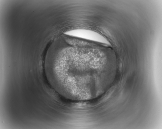 X0000088730366200706212043