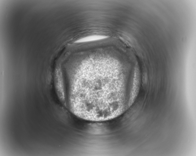 X0000088730367200706212043