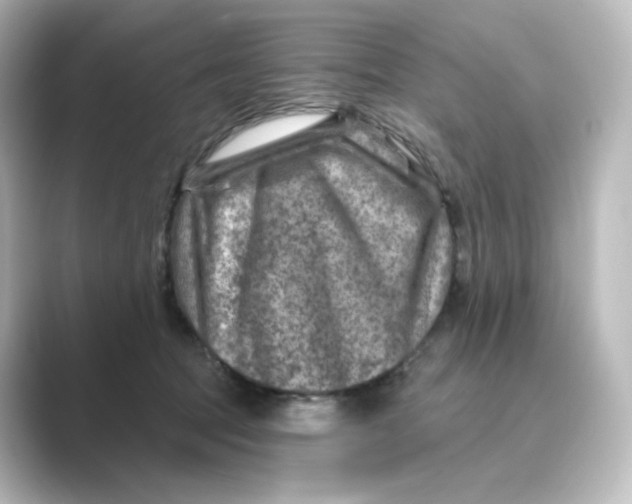 X0000088730369200706212043