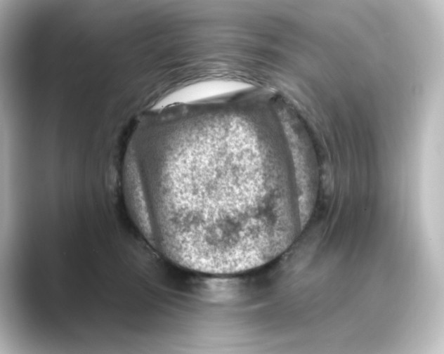 X0000088730371200706212043