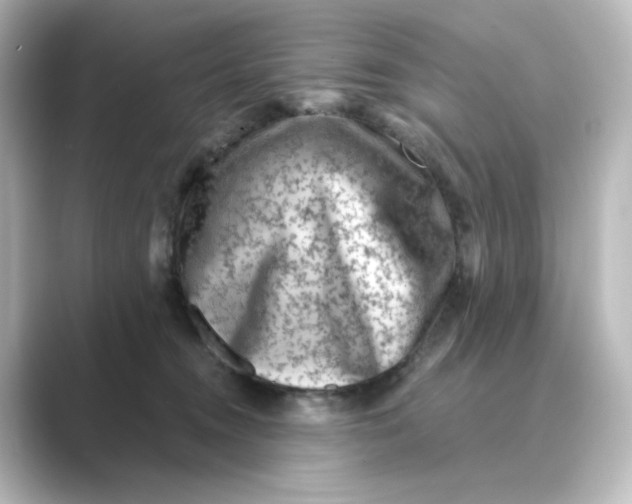 X0000088730372200706212043