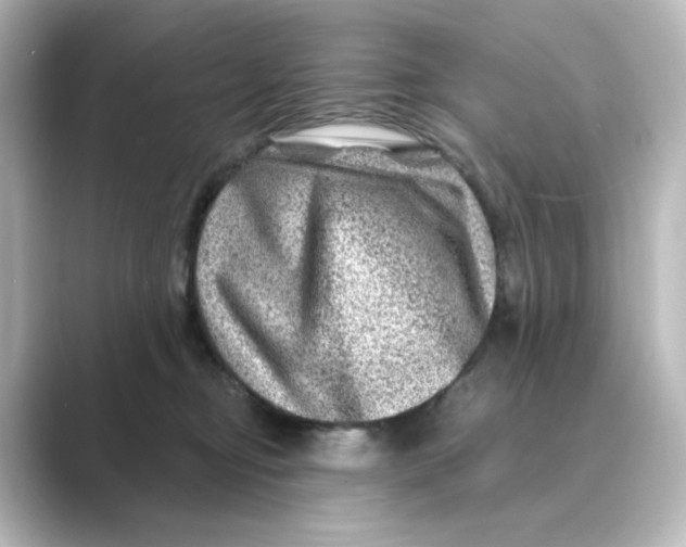 X0000088730374200706212043