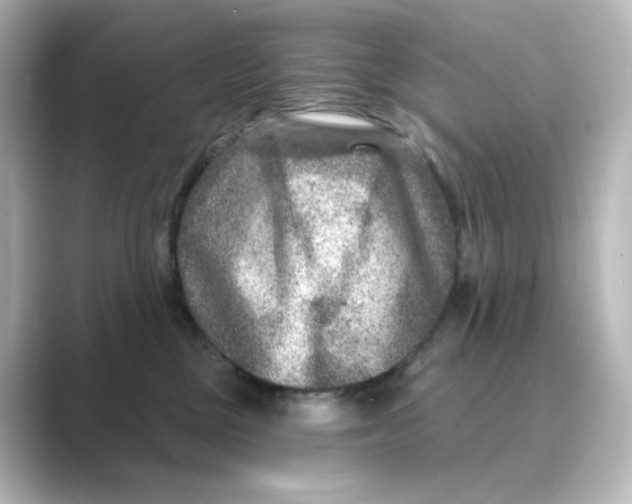 X0000088730377200706212043