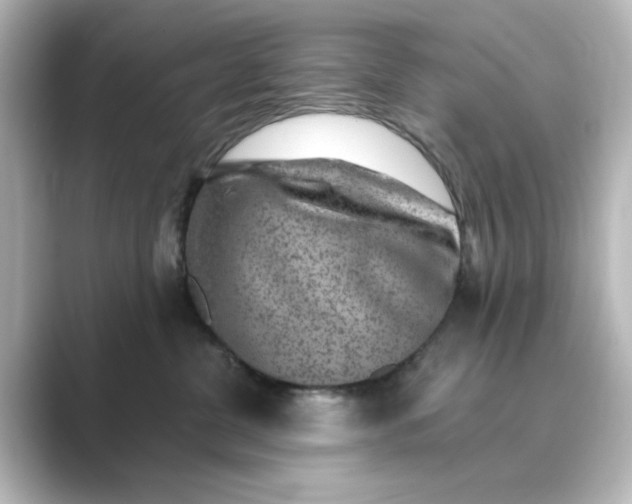 X0000088730380200706212043