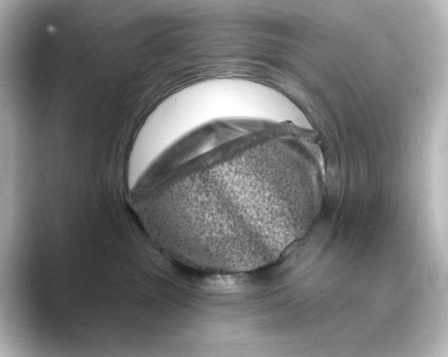 X0000088730381200706212043