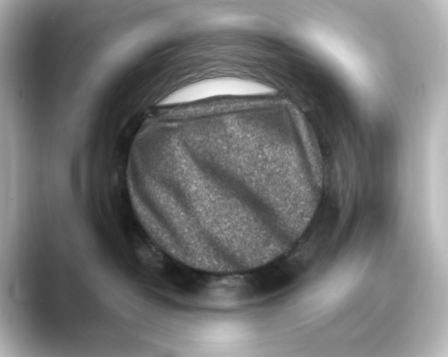 X0000088730382200706212043