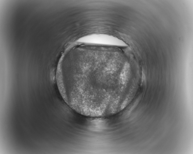 X0000088730383200706212043