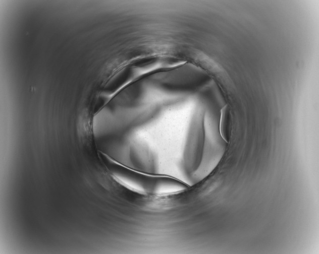 X0000088730384200706212043