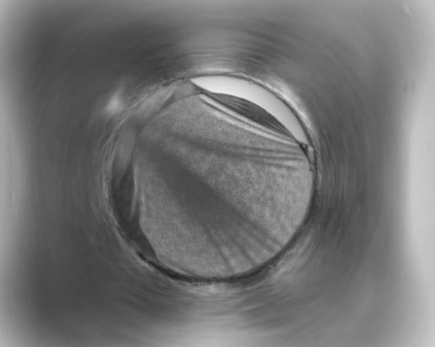 X0000088730385200706212043