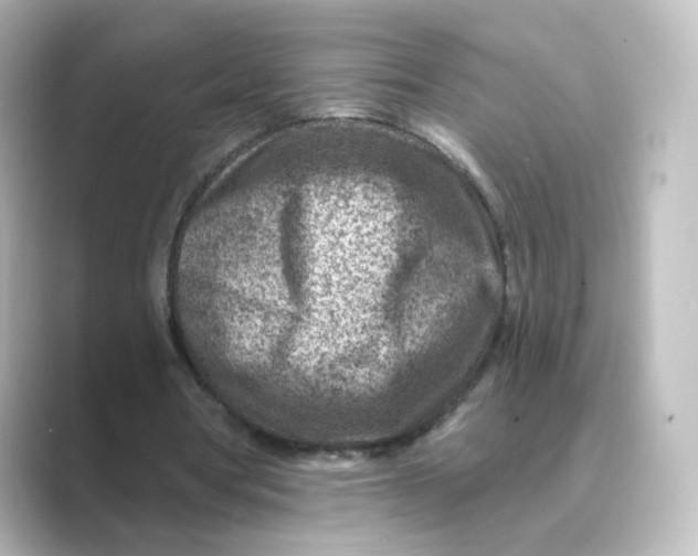 X0000088730386200706212043