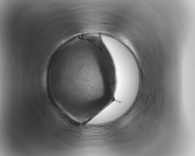 X0000088730387200706212043