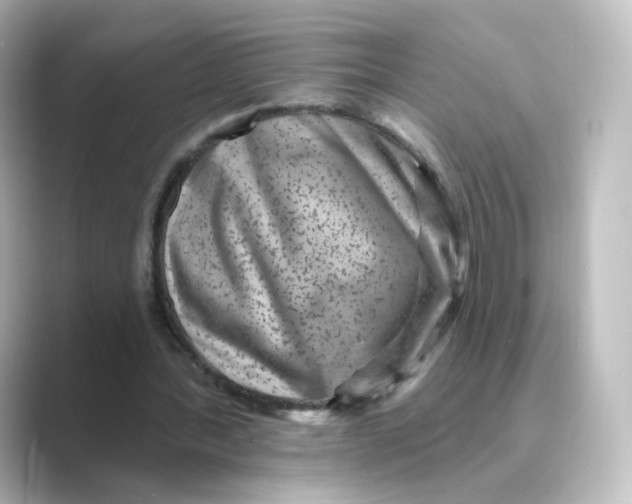 X0000088730388200706212043