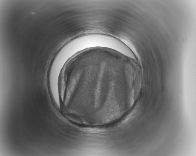 X0000088730389200706212043