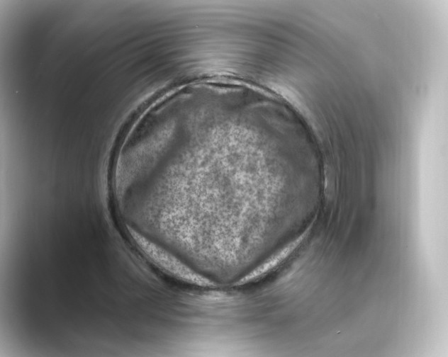 X0000088730390200706212043